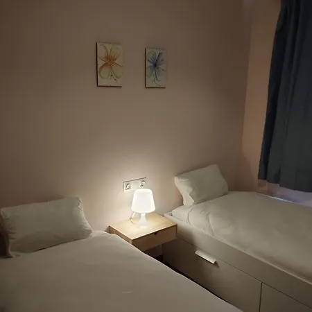 Amplio Y Centrico Piso A Pie De Calle * Sabiñánigo