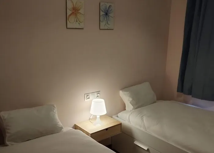 Amplio Y Centrico Piso A Pie De Calle * Sabiñánigo